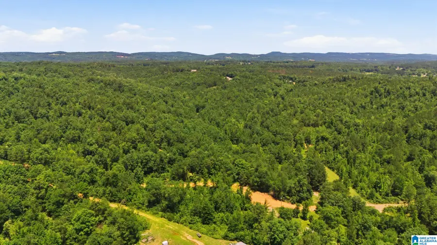 620 LUCAS DRIVE, Hayden, AL 35079 - #3