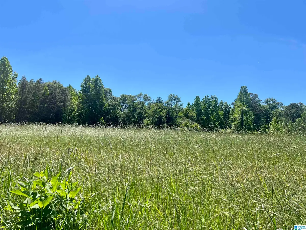 0 COUNTY ROAD 7, Wedowee, AL 36278 - #1