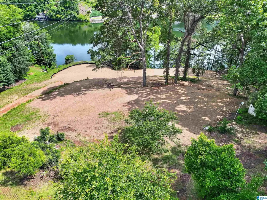 140 COUNTY ROAD 555, Verbena, AL 35045 - #3