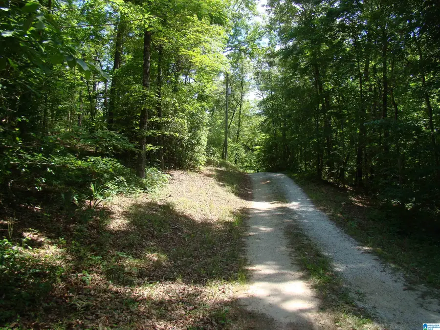 38 MORRISONS POINT DRIVE, Wedowee, AL 36278 - #2