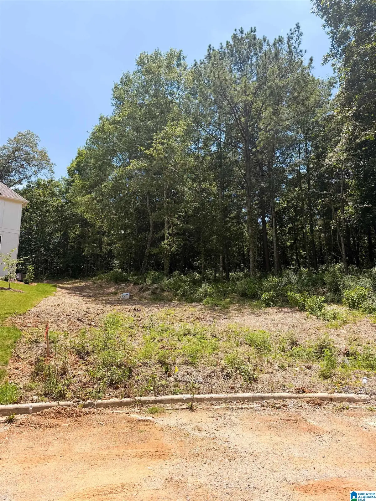 248 MOUNTAIN LAKE TRAIL, Alabaster, AL 35007 - #1