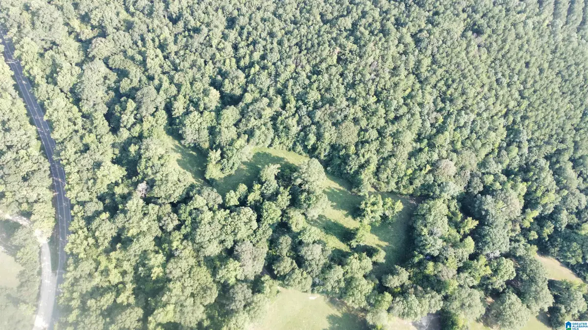 0 COUNTY ROAD 26, Columbiana, AL 35051 - #1