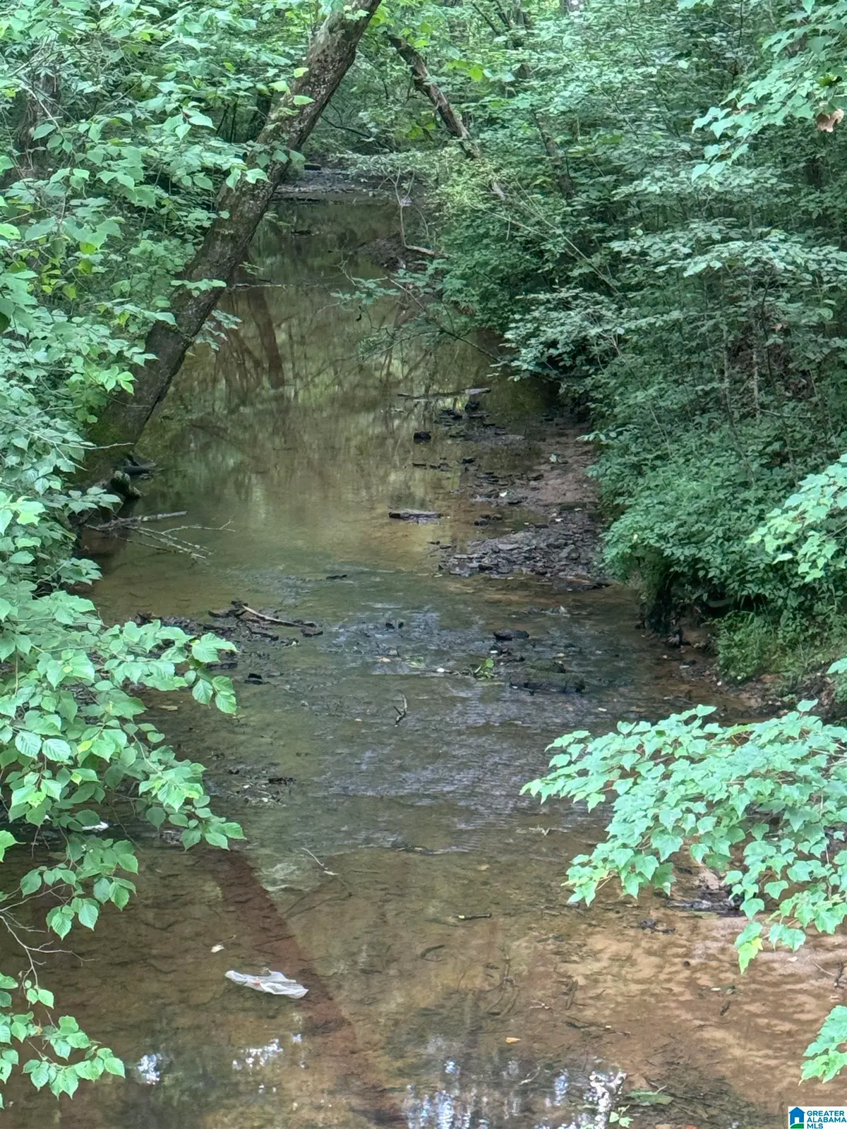 17 ACRES HIGHWAY 144, Ragland, AL 35131 - #1