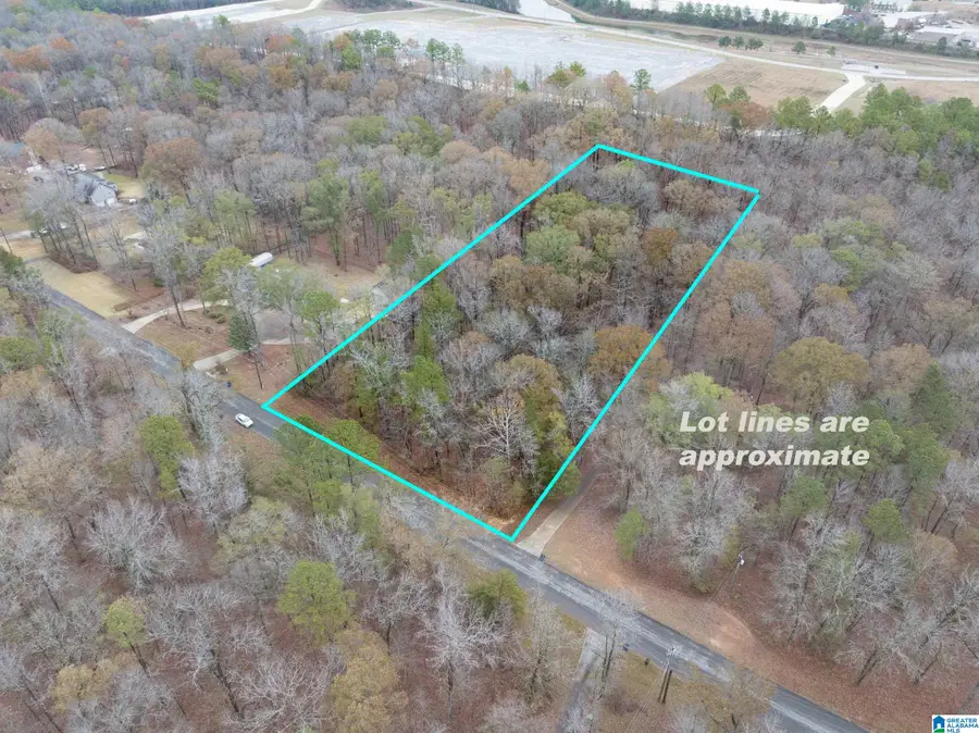 145 CHESTNUT DRIVE, Alabaster, AL 35007 - #2