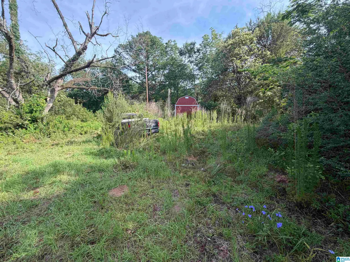 6355 GRANGE FORGE ROAD, Red Level, AL 36474 - #1