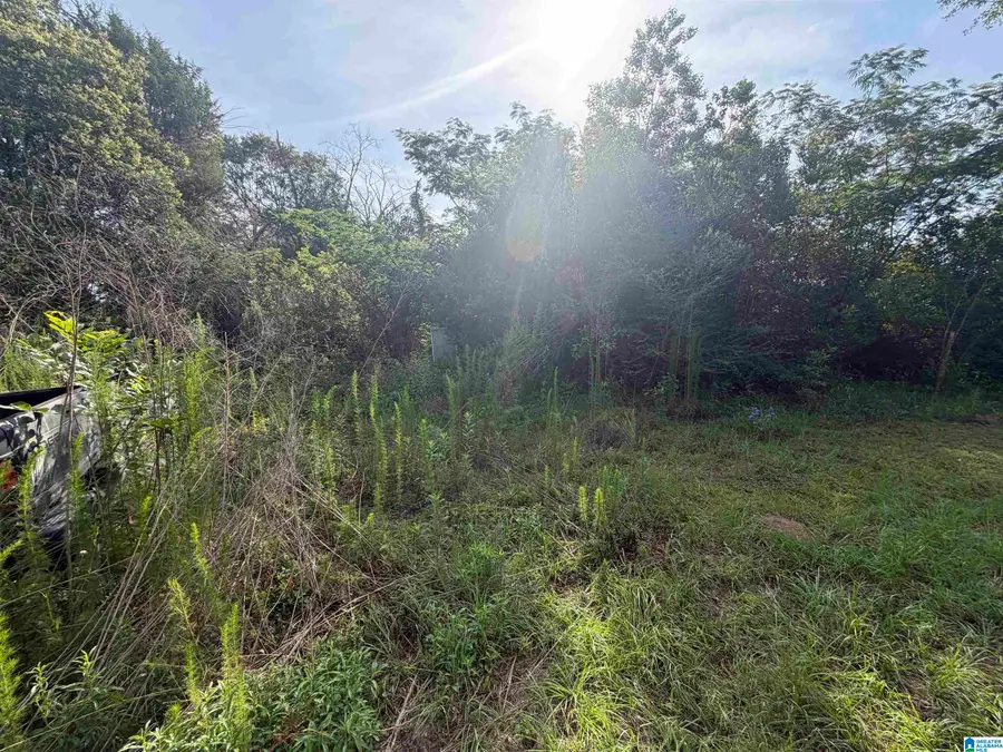 6355 GRANGE FORGE ROAD, Red Level, AL 36474 - #3