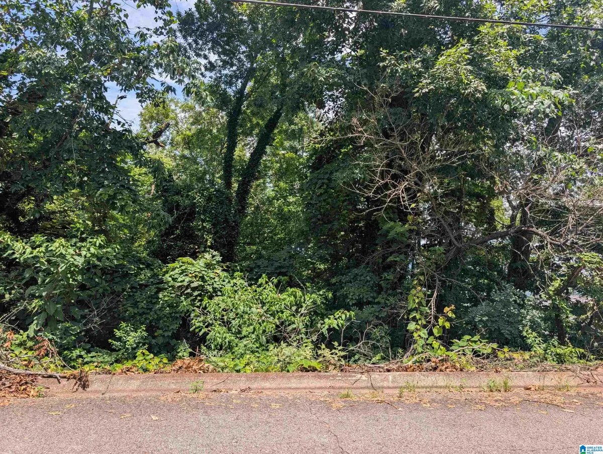 0 HILLYER HIGH ROAD, Anniston, AL 36207 - #1