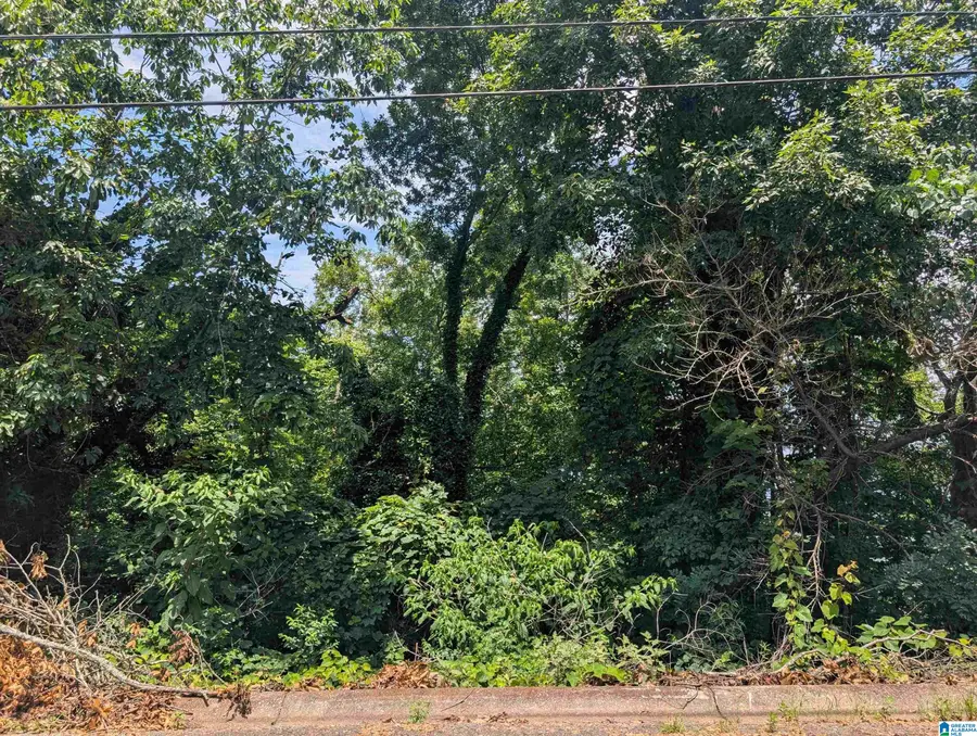 0 HILLYER HIGH ROAD, Anniston, AL 36207 - #3