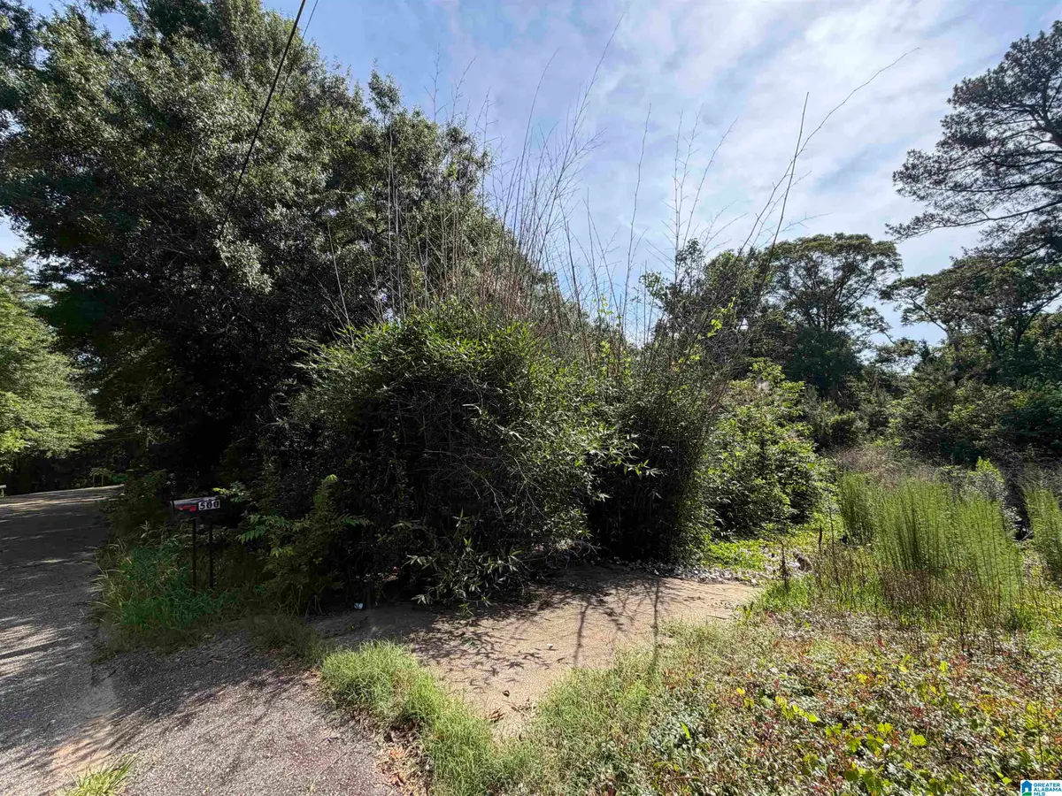 500 OPP AVENUE, Andalusia, AL 36420 - #1