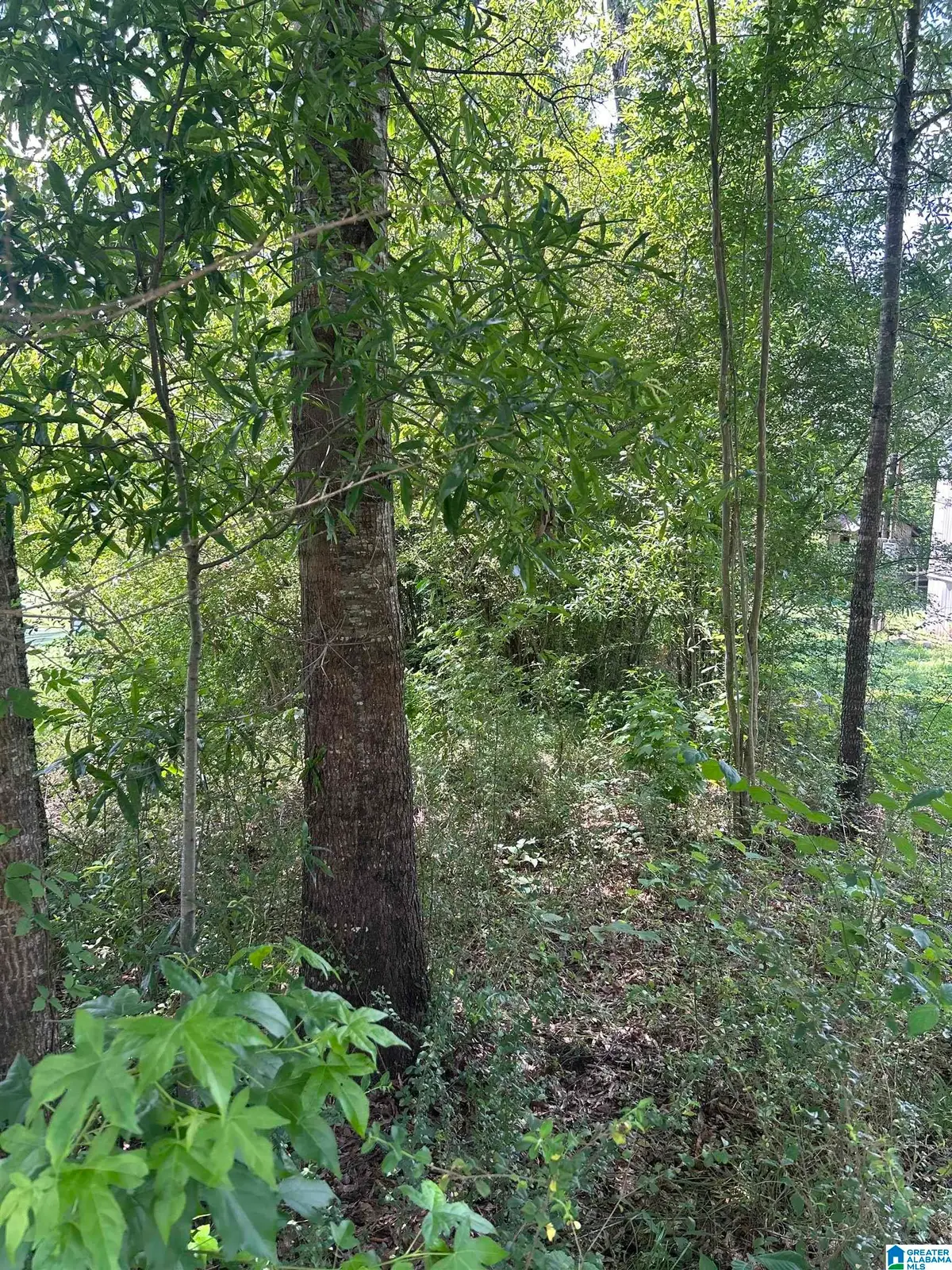 0 LIMBAUGH ROAD, Sylacauga, AL 35150 - #1