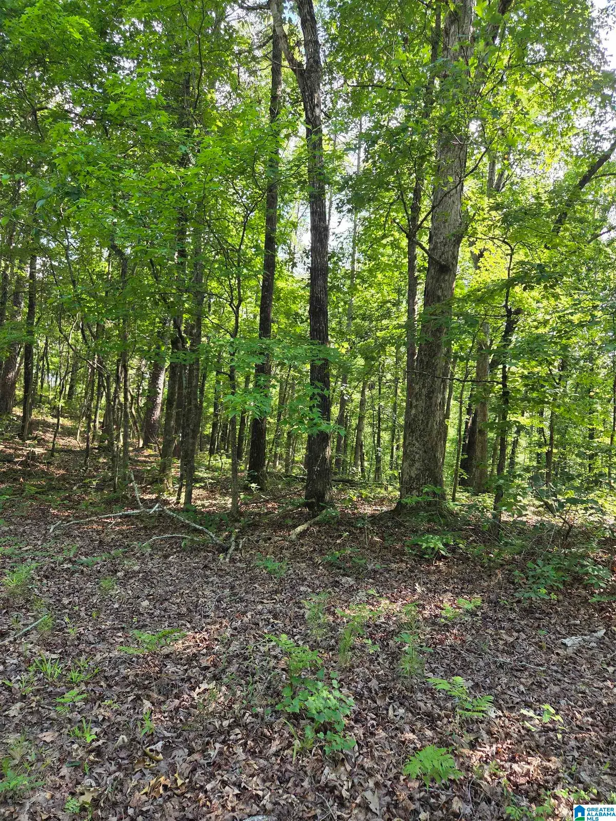 0 HIGHWAY 280, Sylacauga, AL 35150 - #1