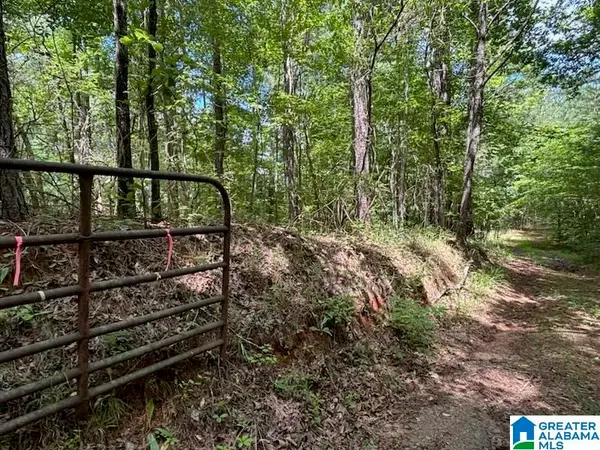 0 COOSA COUNTY ROAD 29, Rockford, AL 35136