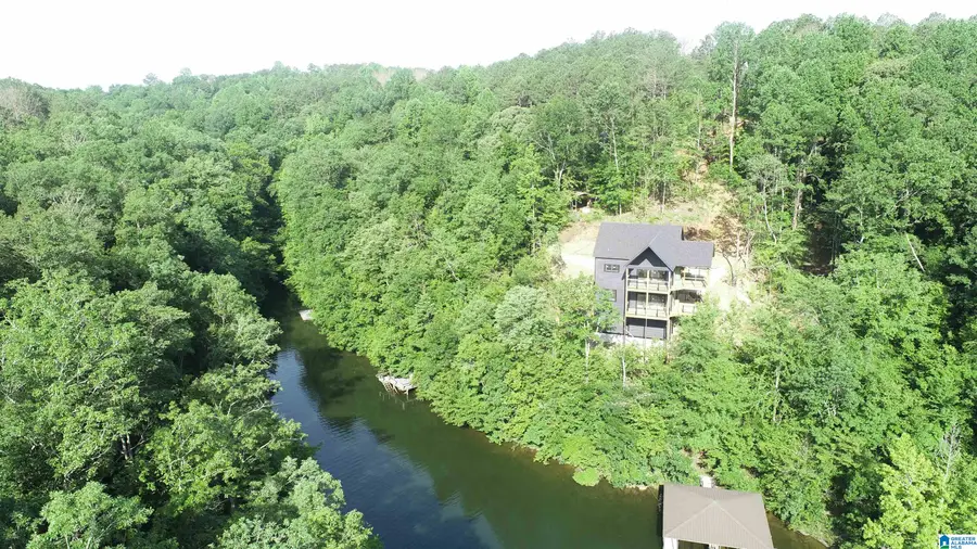 0 CHRISTOPHER LANE, Wedowee, AL 36278 - #3