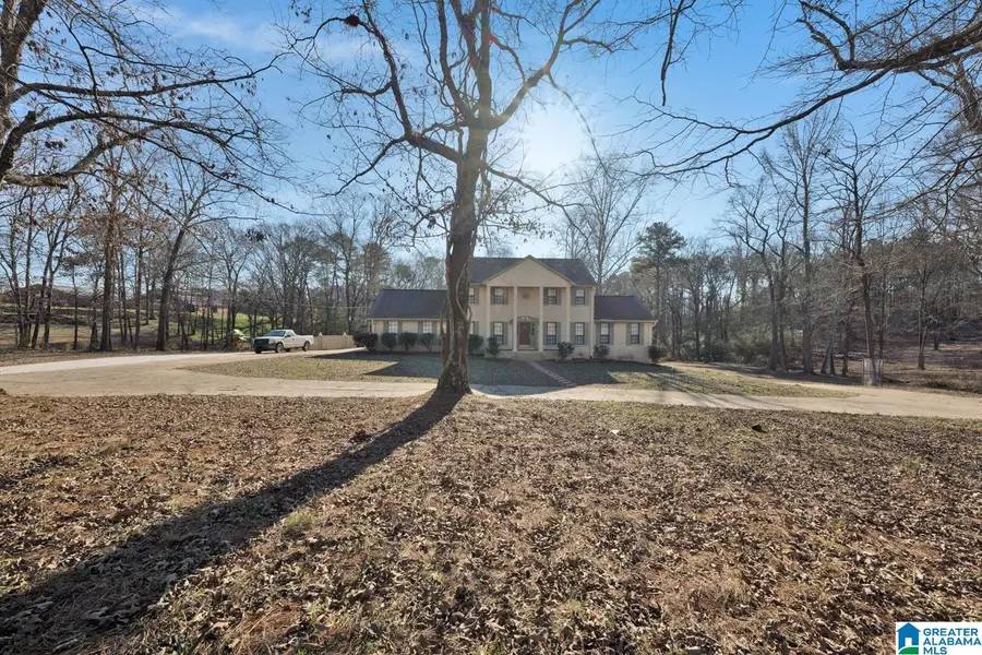 4634 WARRIOR JASPER ROAD, Dora, AL 35062 - #2