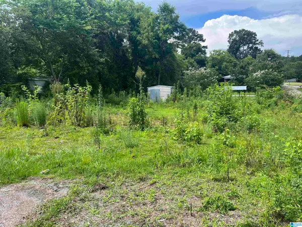 300 E VENTURA DRIVE, Birmingham, AL 35231