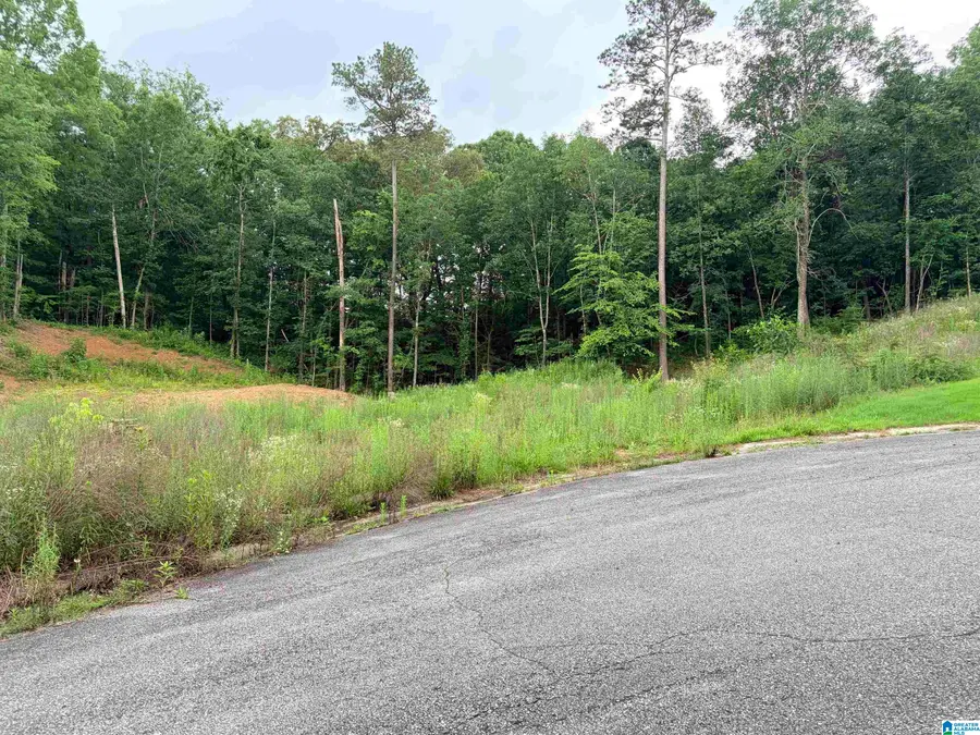 905 CALVARY CROSSINGS, Fultondale, AL 35068 - #2