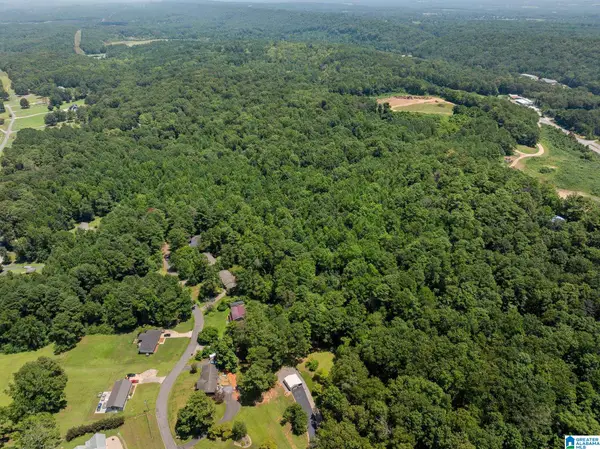 0 SUNSHINE AVENUE, Oneonta, AL 35121