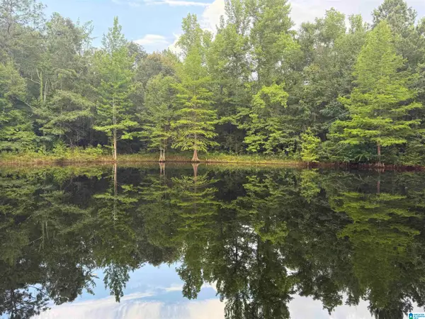 299 COUNTY ROAD 443, Verbena, AL 36091