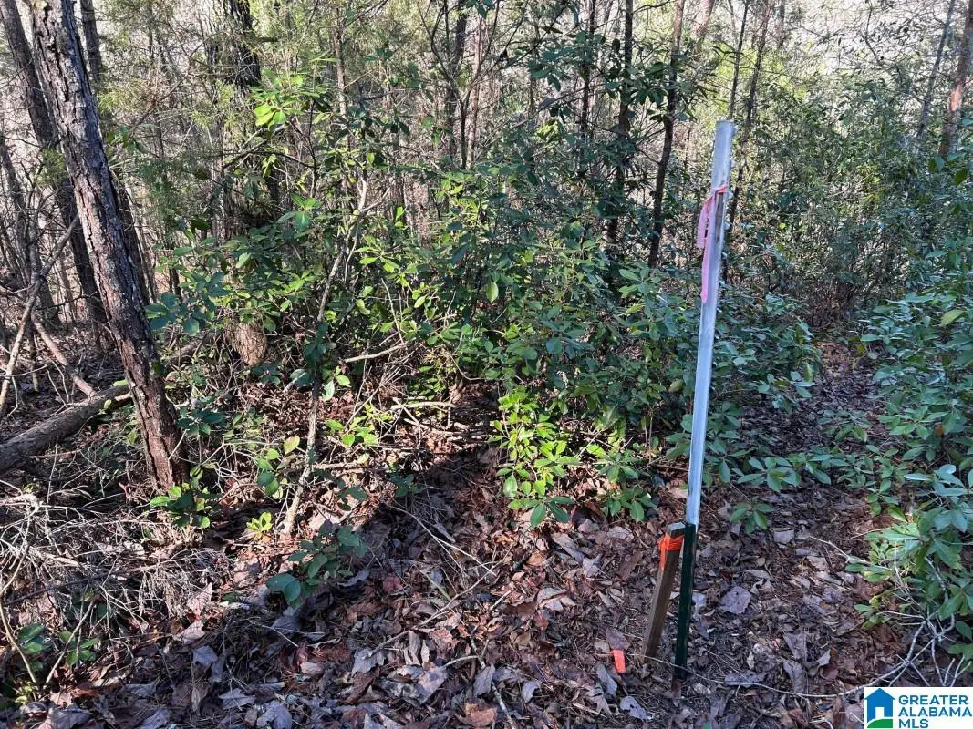 4.15 acres N HAGLER ROAD, Northport, AL 35475 - #1