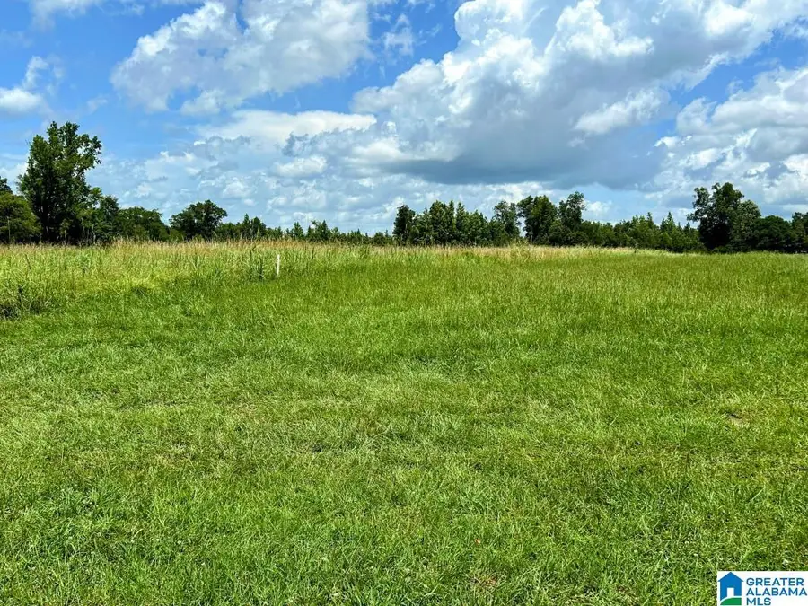 4.15 acres N HAGLER ROAD, Northport, AL 35475 - #3
