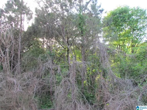 0 0 PINE GLEN ROAD, Oneonta, AL 35121