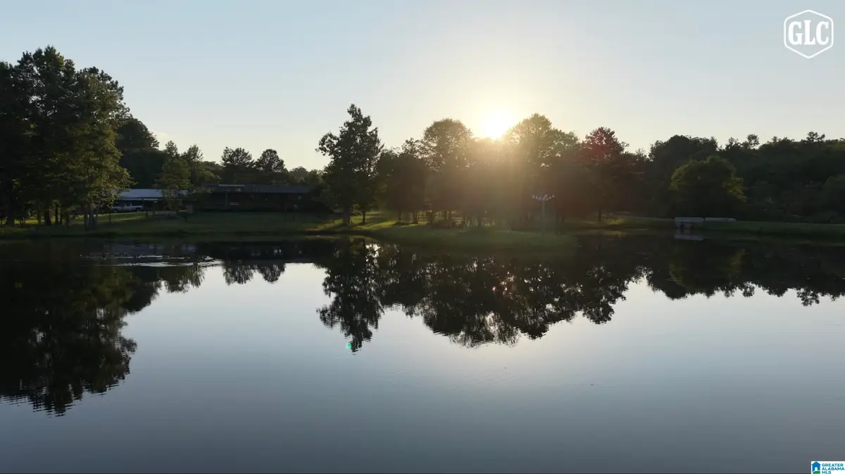 4371 DEAD HOLLOW ROAD, Harpersville, AL 35078 - #1