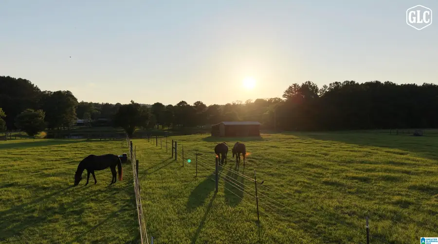 4371 DEAD HOLLOW ROAD, Harpersville, AL 35078 - #3