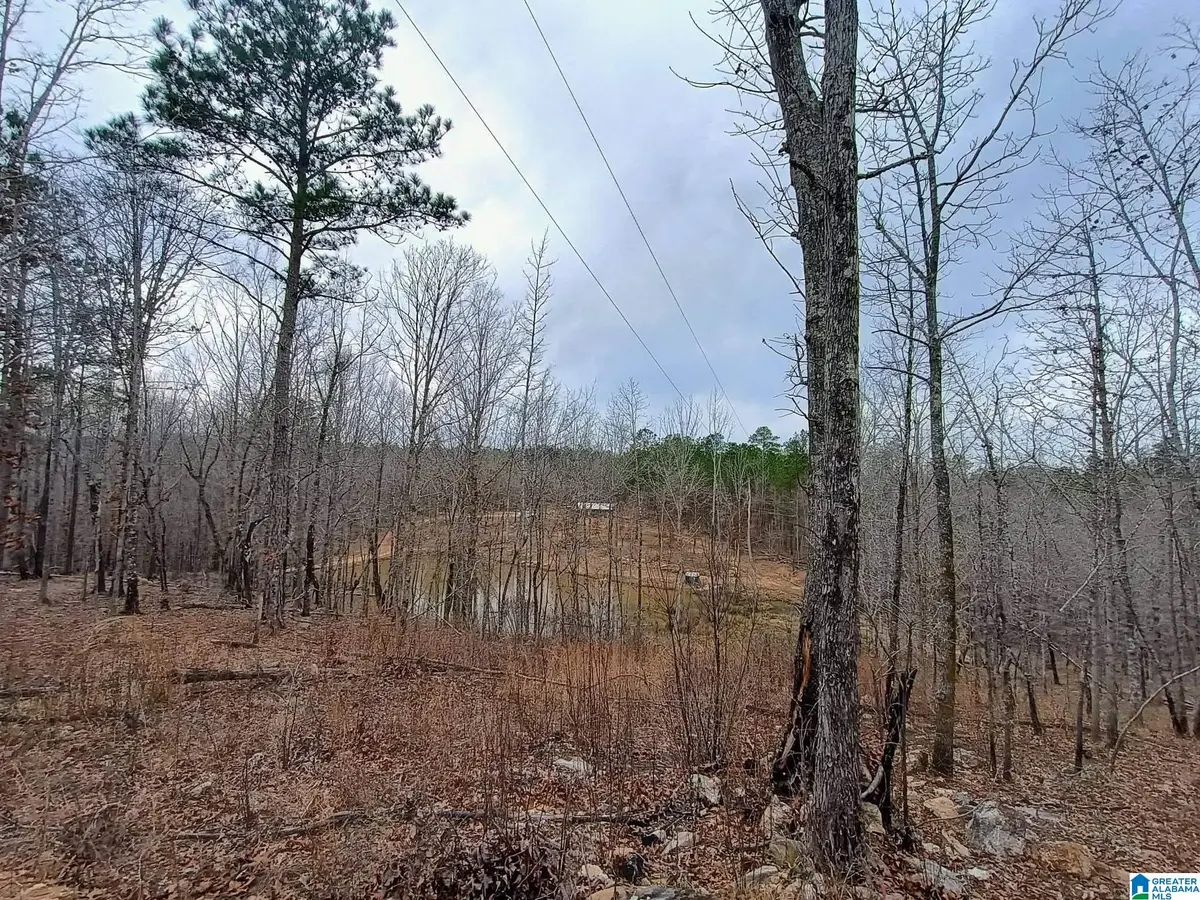 13233 AL HIGHWAY 9, Kellyton, AL 35089 - #1