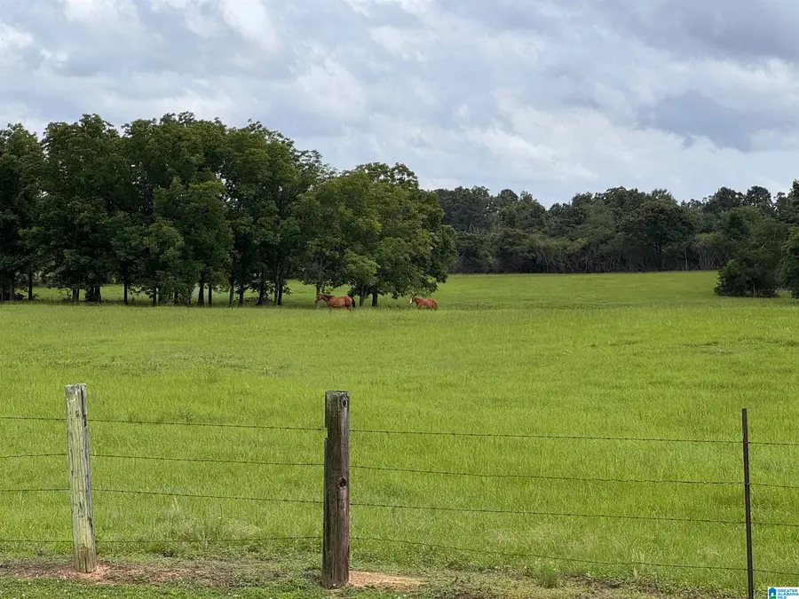 5571 COUNTY ROAD 24, Verbena, AL 36091 - #2