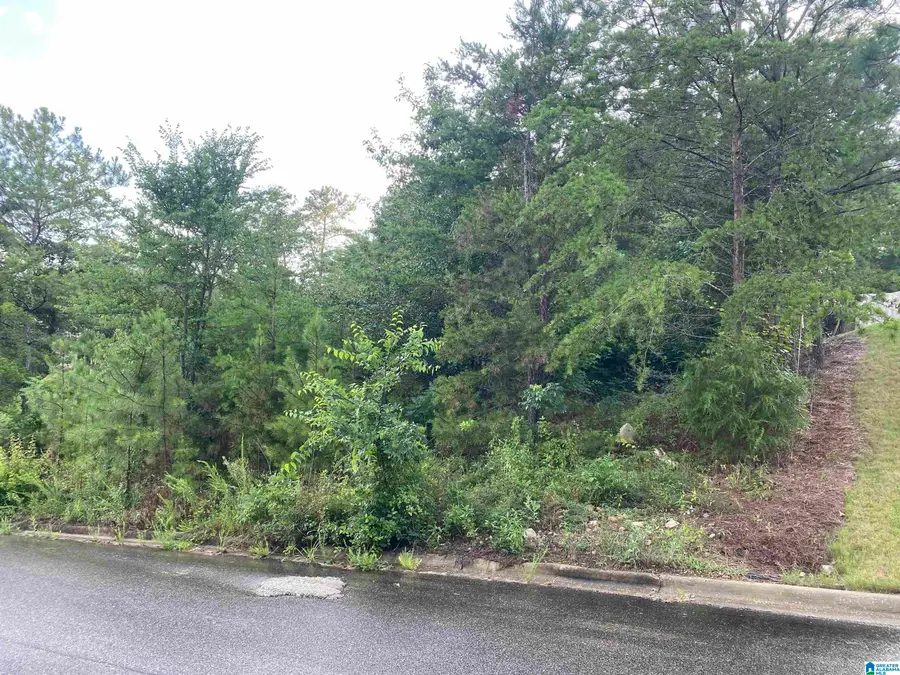 1059 ASBURY CIRCLE, Helena, AL 35022 - #2