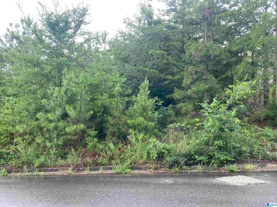 1059 ASBURY CIRCLE, Helena, AL 35022 - #3