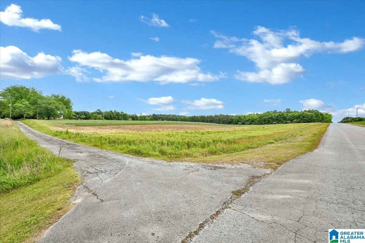 900 COUNTY ROAD 1466, Cullman, AL 35055 - #1