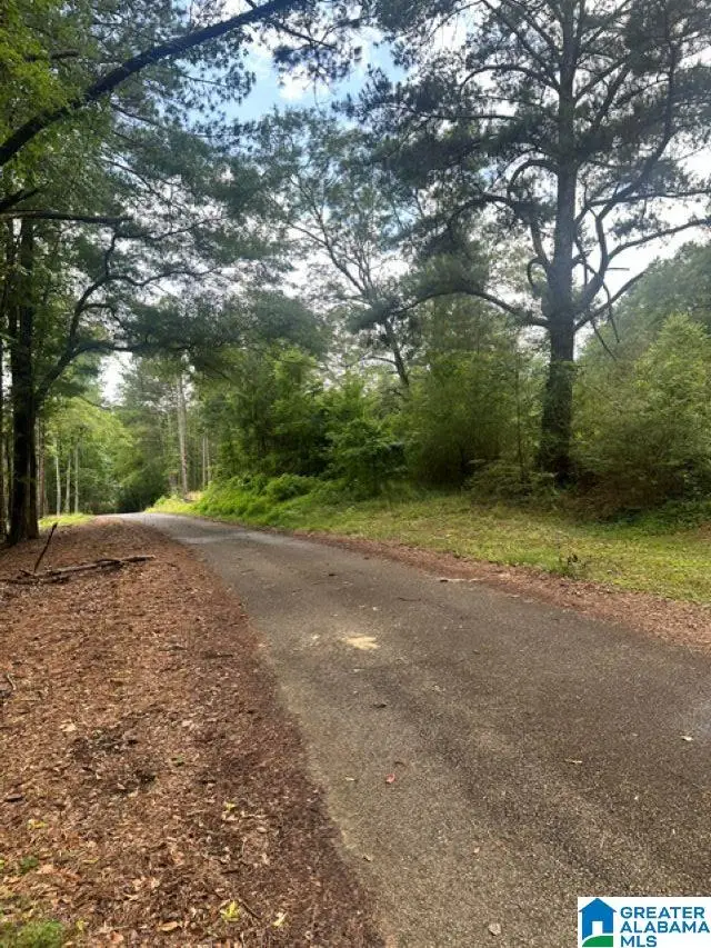130 MOUNTAIN CREST ROAD, Chelsea, AL 35043 - #3