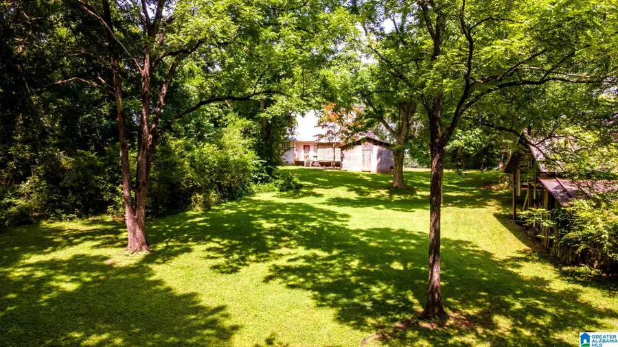 263 KNOWLES AVENUE, Lineville, AL 36266 - #3