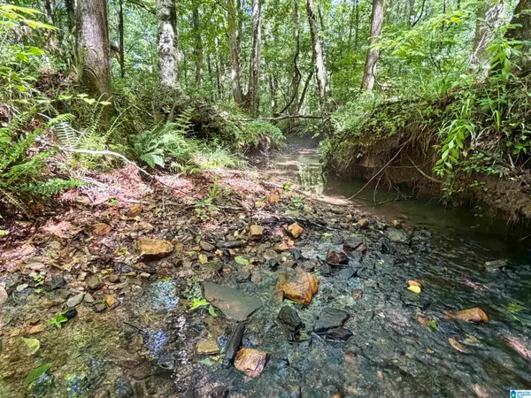 1721 COUNTY ROAD 823, Wadley, AL 36276