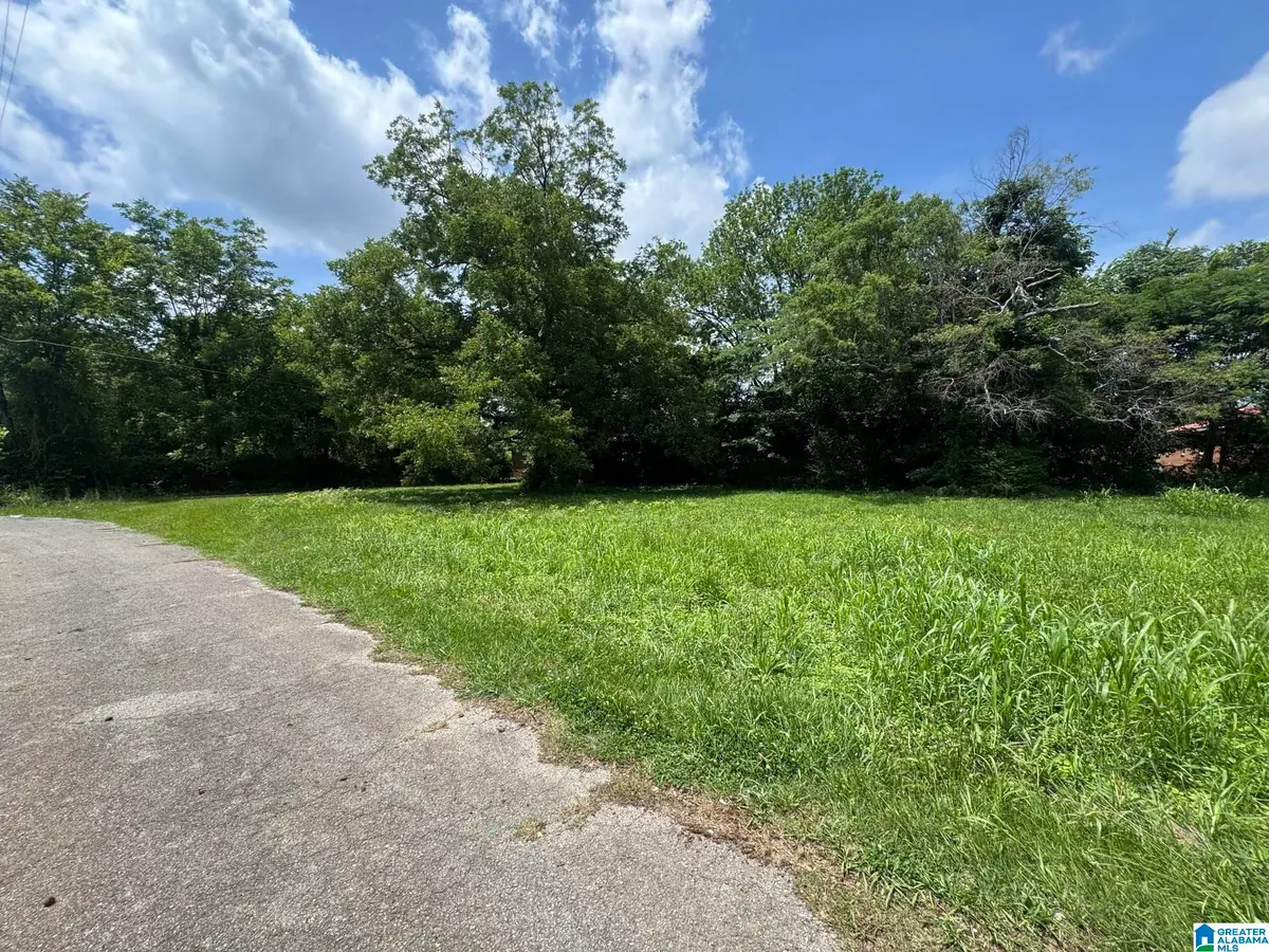 408 S CHRISTINE AVENUE, Anniston, AL 36207 - #1