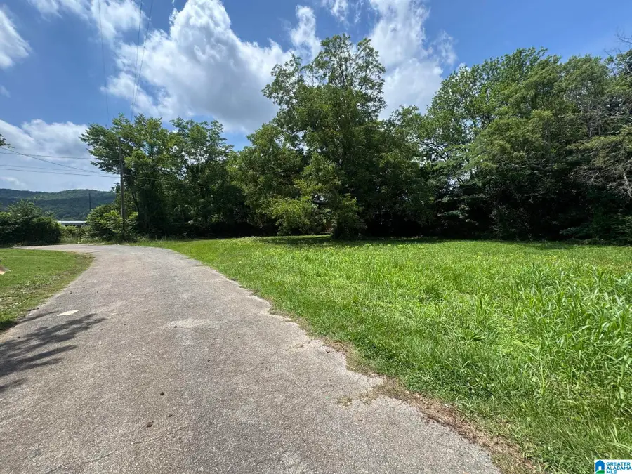 408 S CHRISTINE AVENUE, Anniston, AL 36207 - #2