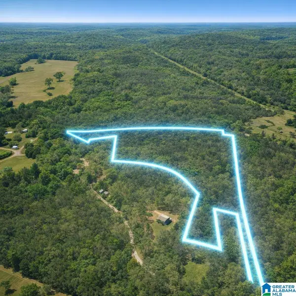 0 JOHNS ROAD, Blountsville, AL 35031