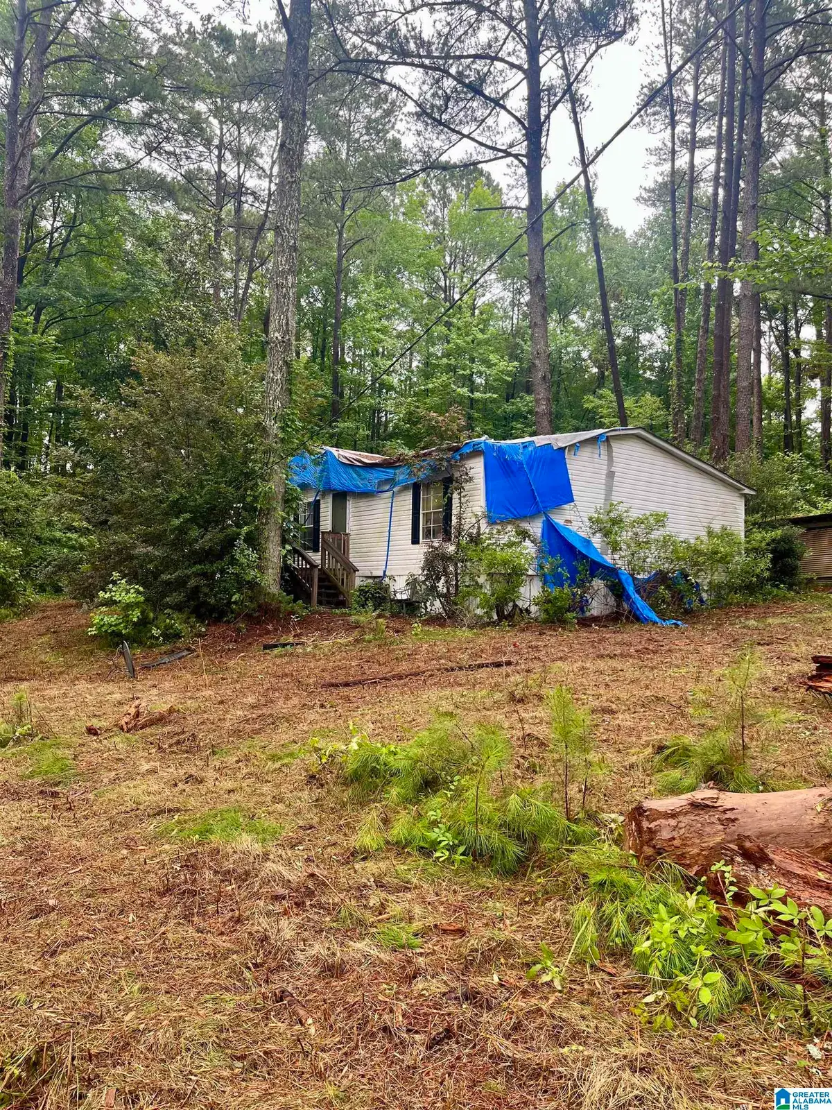 121 COUNTY ROAD 338, Chelsea, AL 35043 - #1