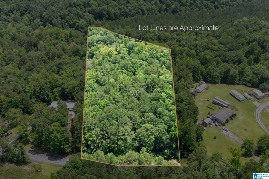 0 WALDROP ROAD, Ashville, AL 35953 - #2