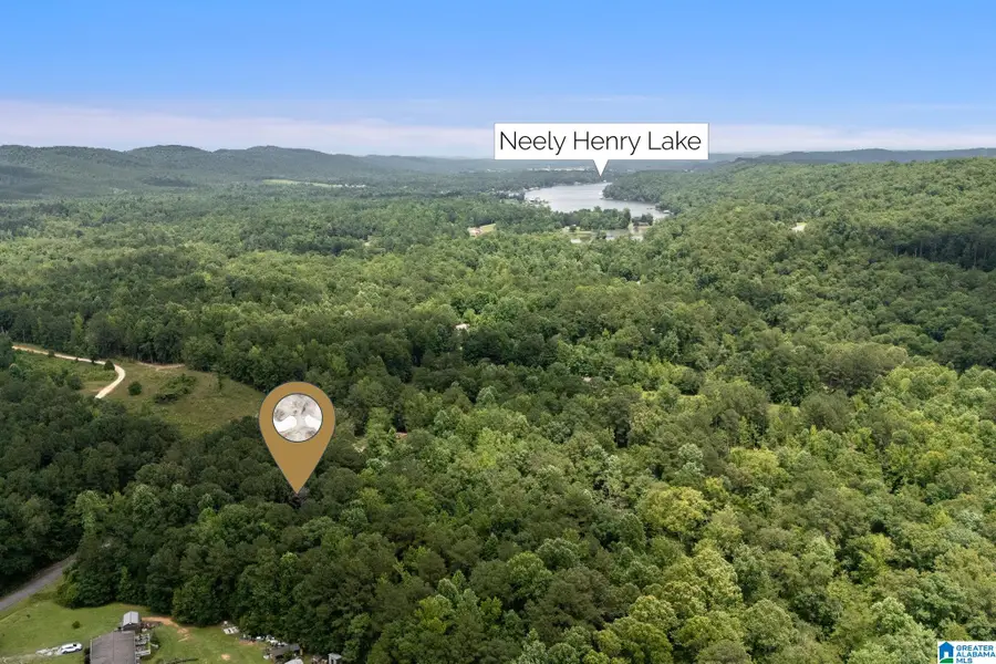 0 WALDROP ROAD, Ashville, AL 35953 - #3