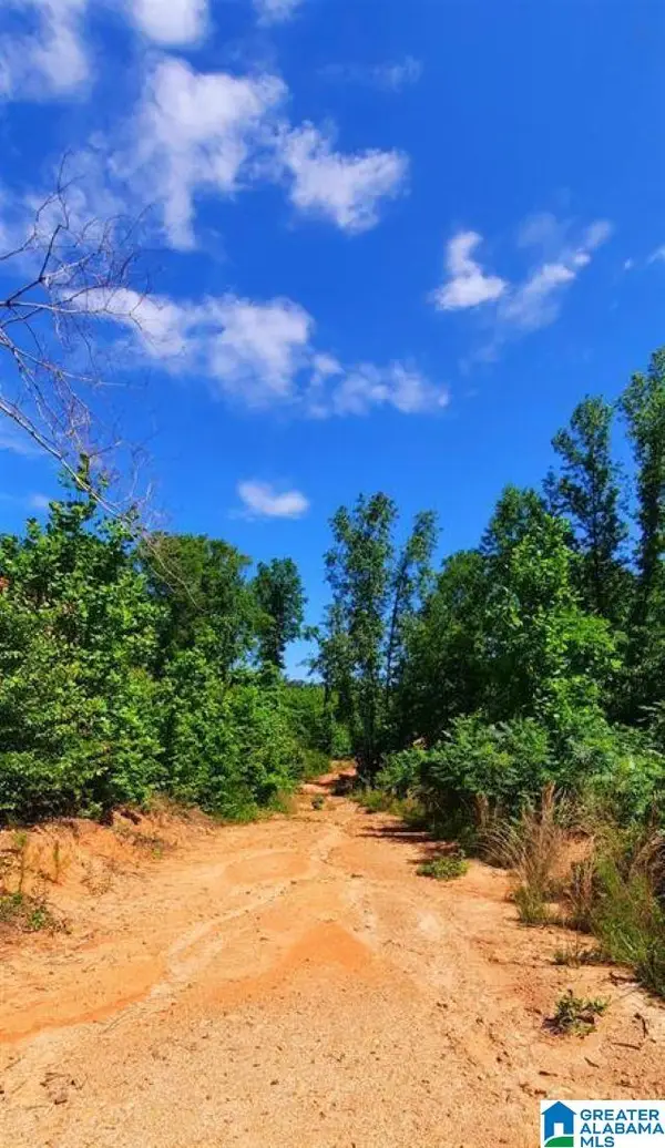 20 Acres COUNTY ROAD 123, Wedowee, AL 36278