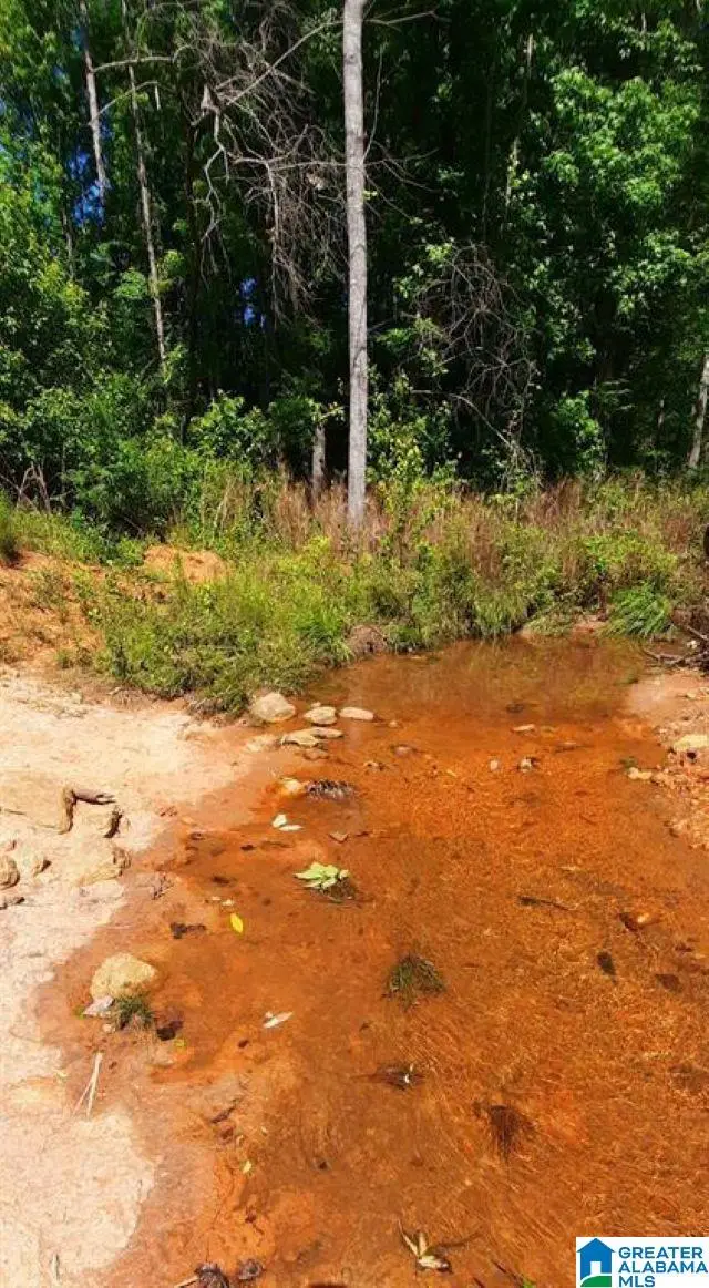 20 Acres COUNTY ROAD 123, Wedowee, AL 36278 - #2