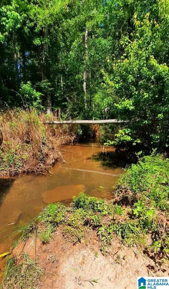 20 Acres COUNTY ROAD 123, Wedowee, AL 36278 - #3