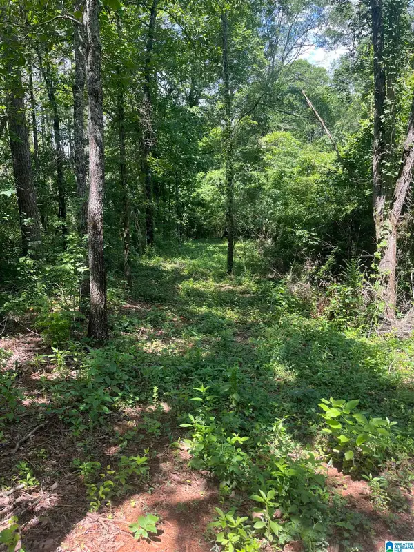 385 CARR ROAD, Alpine, AL 35014