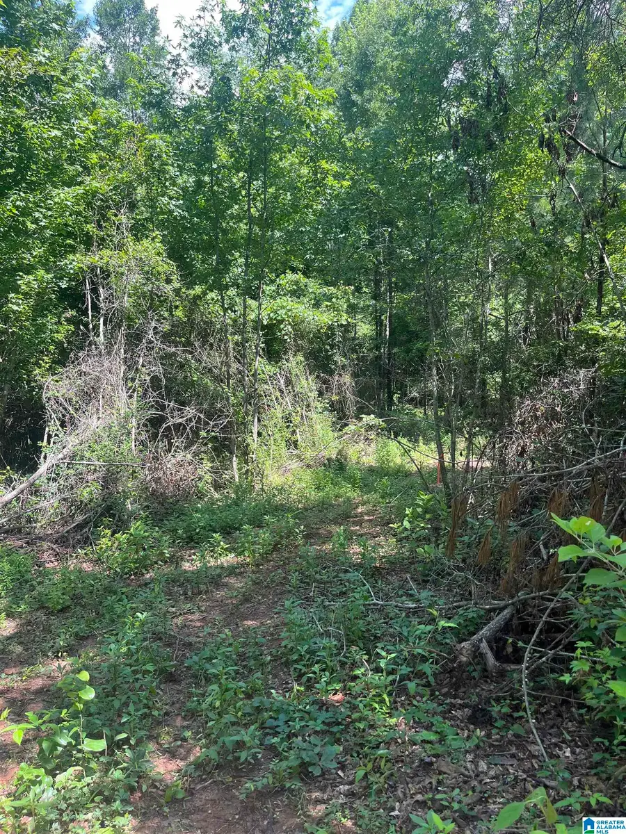 385 CARR ROAD, Alpine, AL 35014 - #2