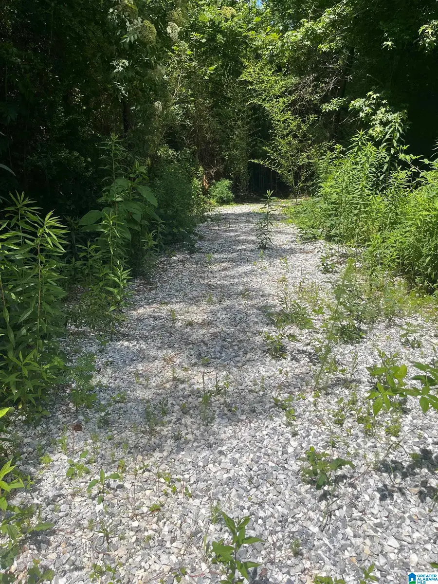 385 CARR ROAD, Alpine, AL 35014 - #3