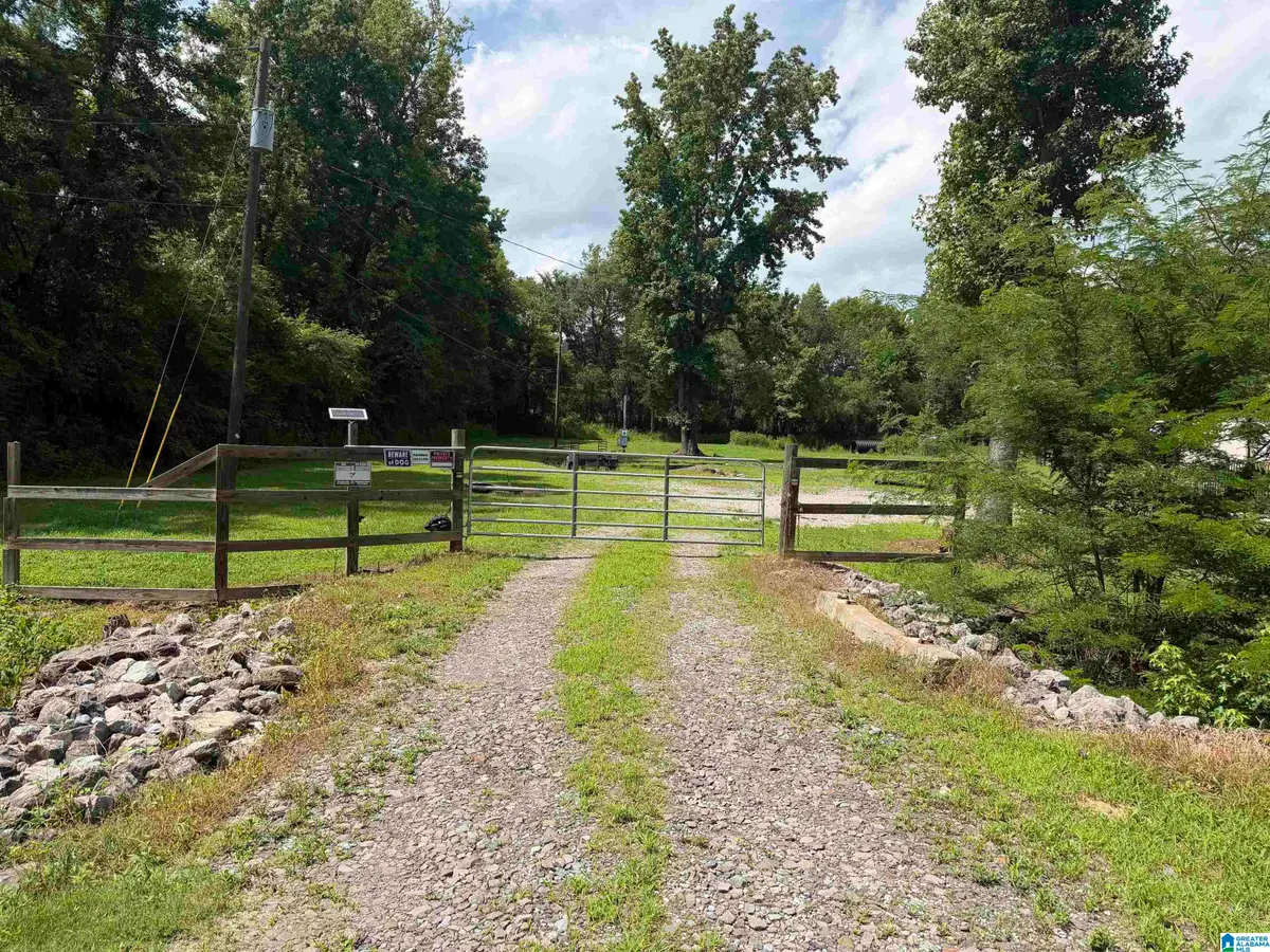 871 WARRIOR JASPER ROAD, Warrior, AL 35180 - #1