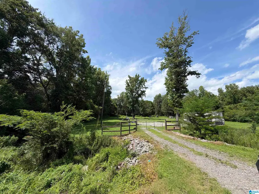 871 WARRIOR JASPER ROAD, Warrior, AL 35180 - #3