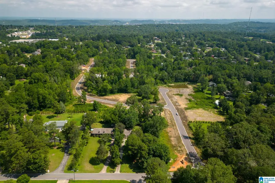 3396 CHANDLER WAY, Hoover, AL 35226 - #2